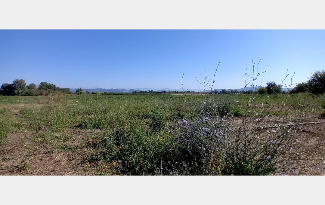 KAZA IMMOBILIER : Maison / Villa | FREJUS (83600) | 177 m2 | 499 000 € 